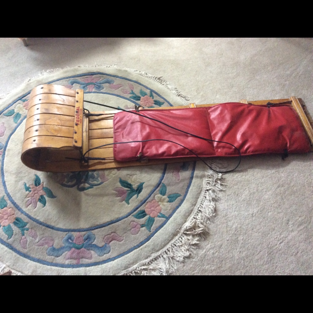 Kids Snow Sled